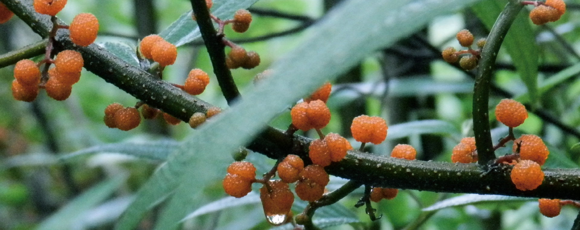 品牌VI設(shè)計，VI設(shè)計，企業(yè)VI設(shè)計公司，微型VI設(shè)計項目