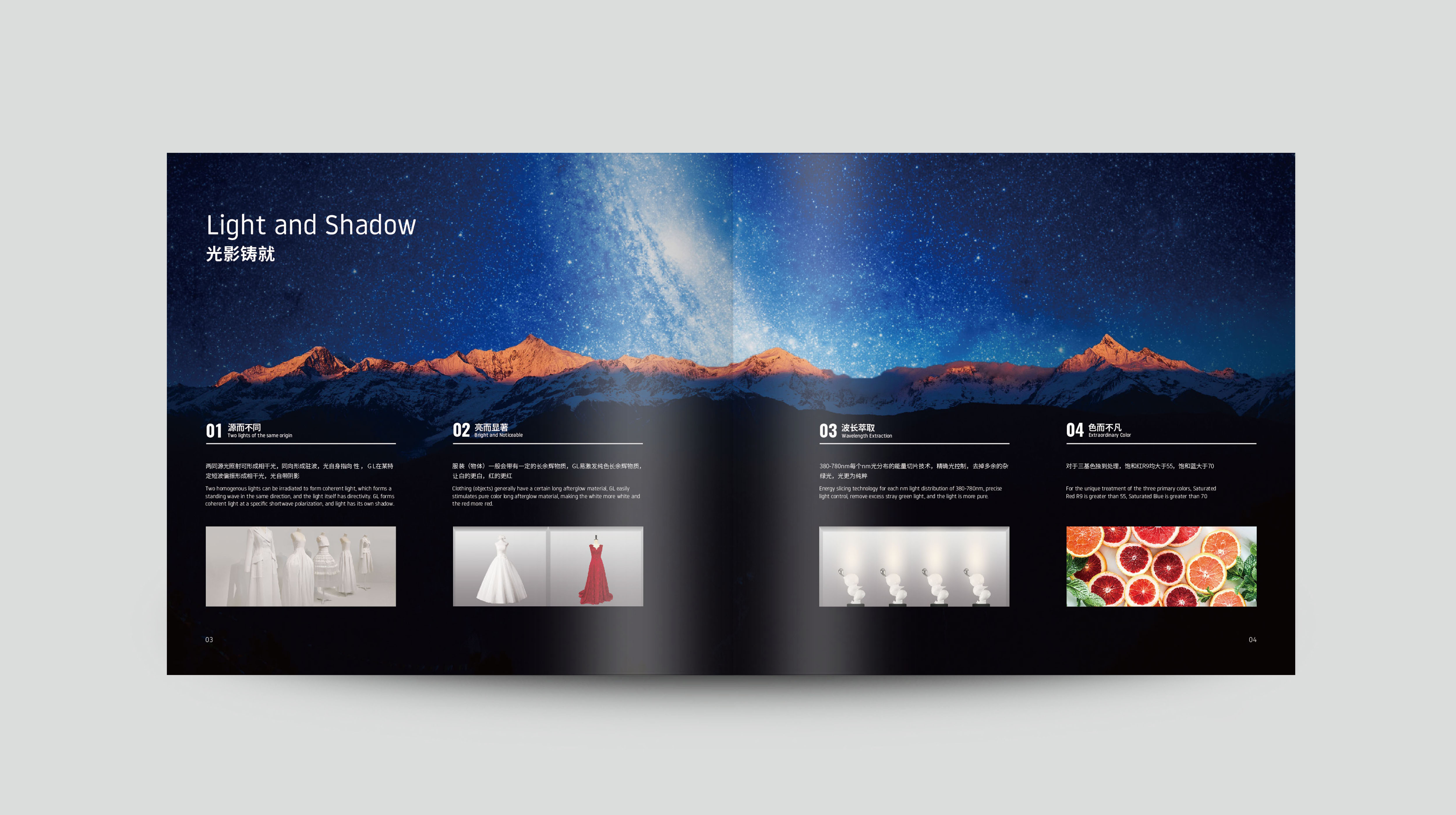 畫冊設計公司 -宣傳冊設計-宣傳畫冊設計公司{標派視覺微型VI設計}