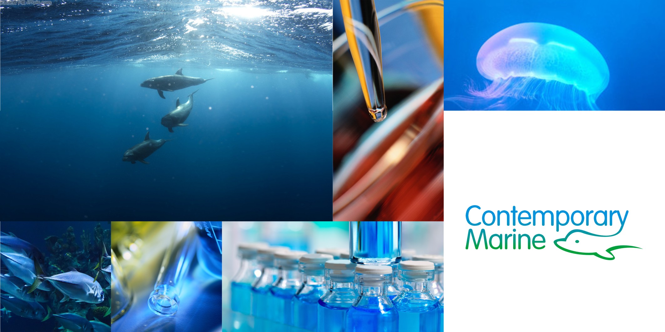 花小錢辦大事：微型VI設(shè)計的超高性價比